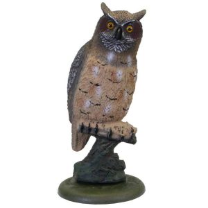 Ugle stor