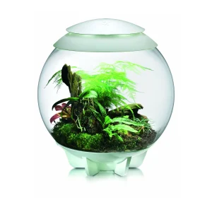 biOrb AIR 60 hvitt planteterrarium med bregne og mose i studio
