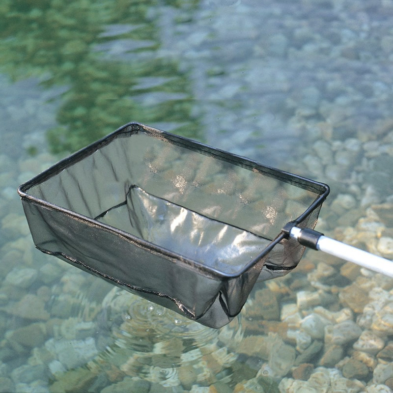 Oase algehåv stor, hode over damvann, AquaWorld