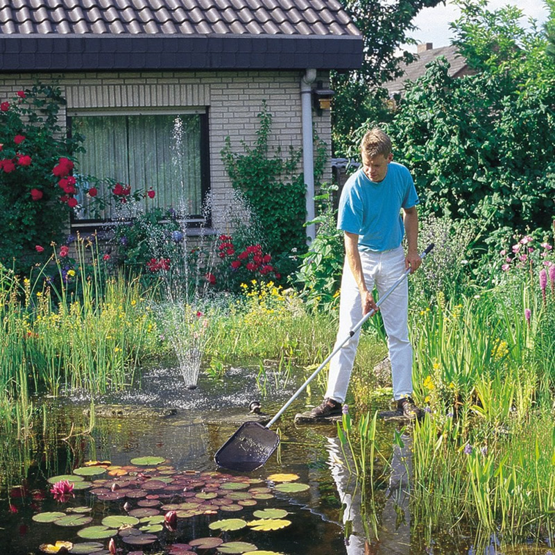 Oase algehåv stor i bruk ved hagedam, AquaWorld