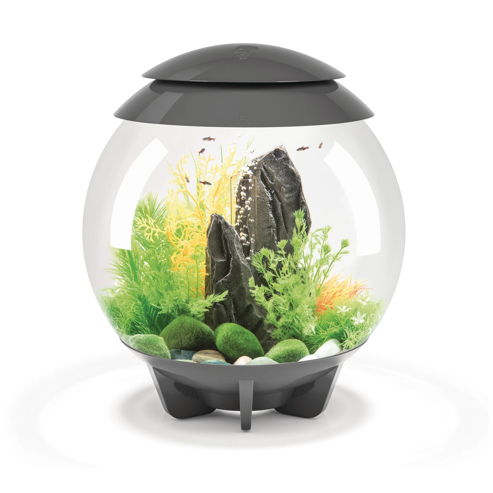 biOrb HALO MCR 30 liter grå