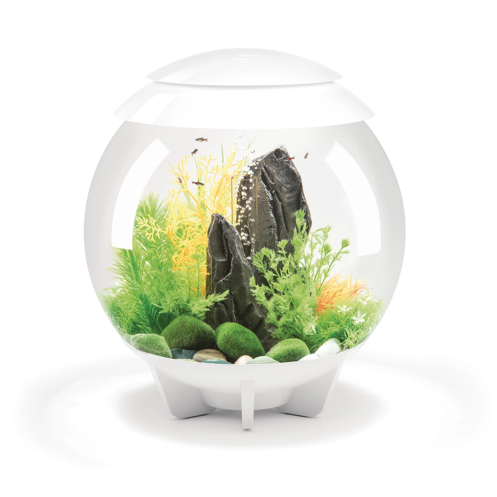 biOrb HALO MCR 30 liter hvit