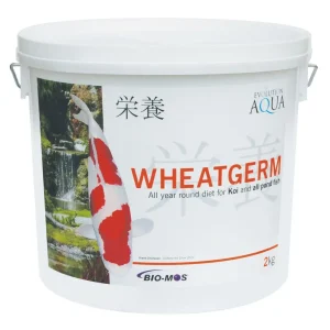 Evolution Aqua Wheatgerm 2 kg koifôr i hvit bøtte med hank i studio