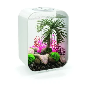 biOrb LIFE MCR – designakvarium