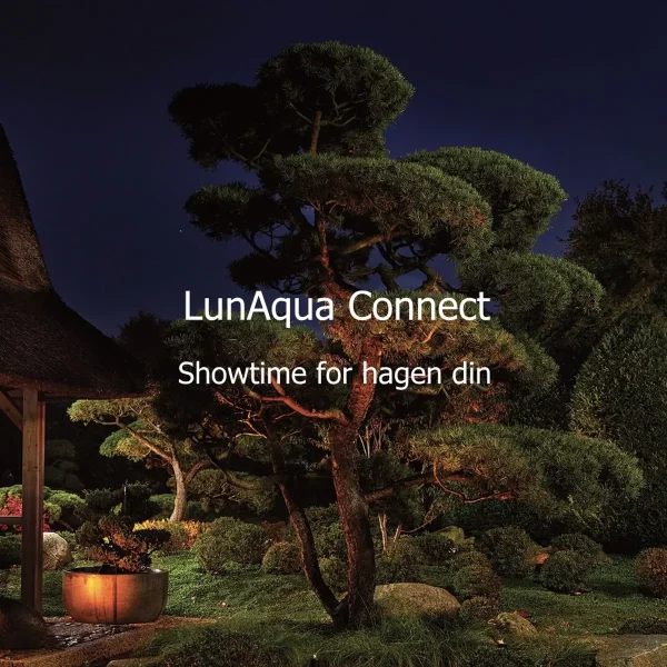 OASE LunAqua Connect hagebelysning lyser opp furu og hage om kvelden