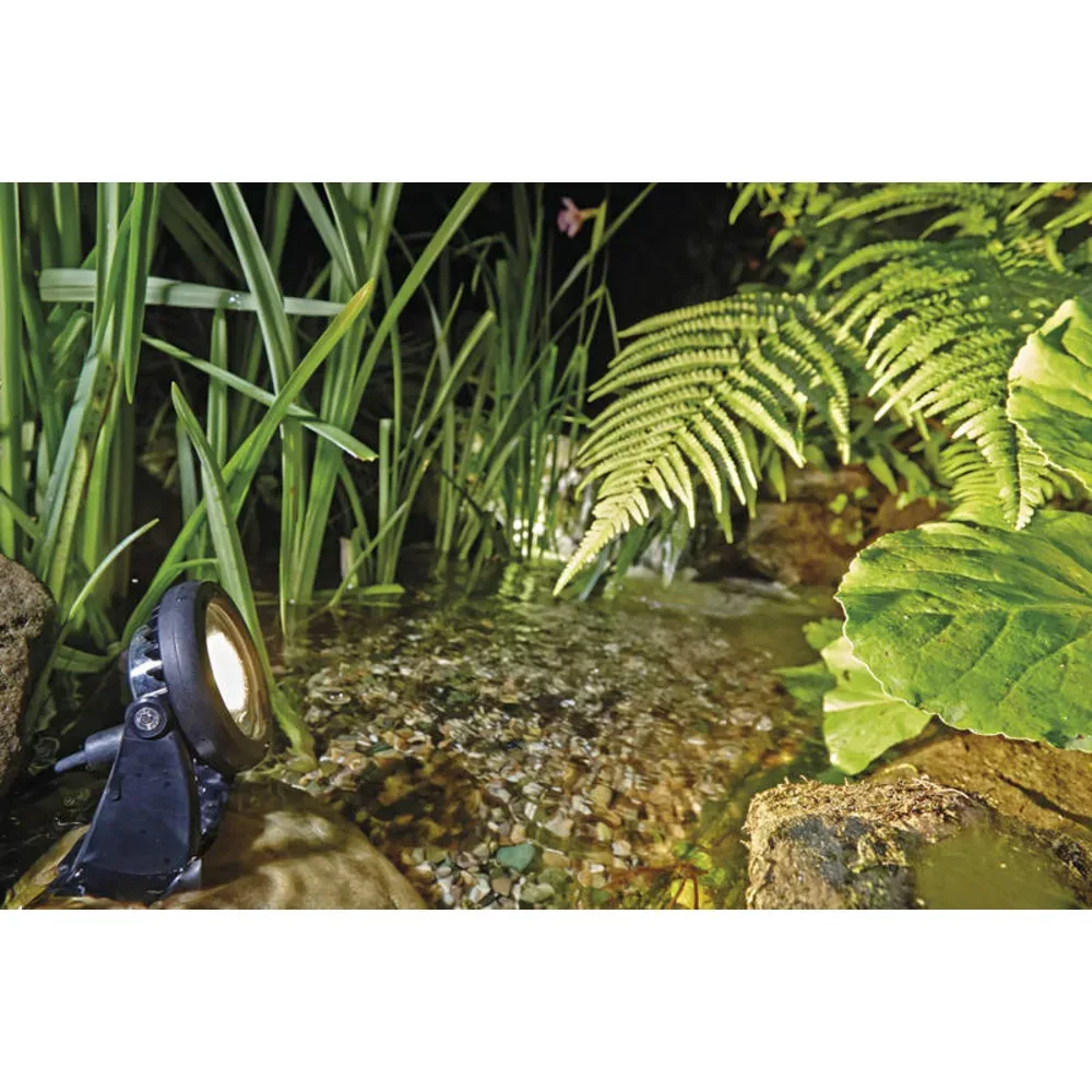 OASE LunAqua Power LED ved bregner og siv i kanten av en bekk