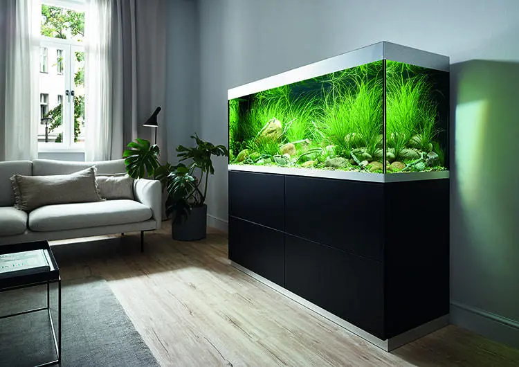 OASE HighLine akvarium med svart skap i stue