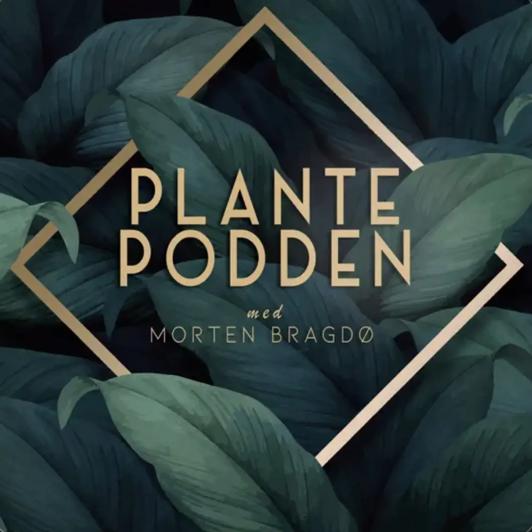 PlantePodden