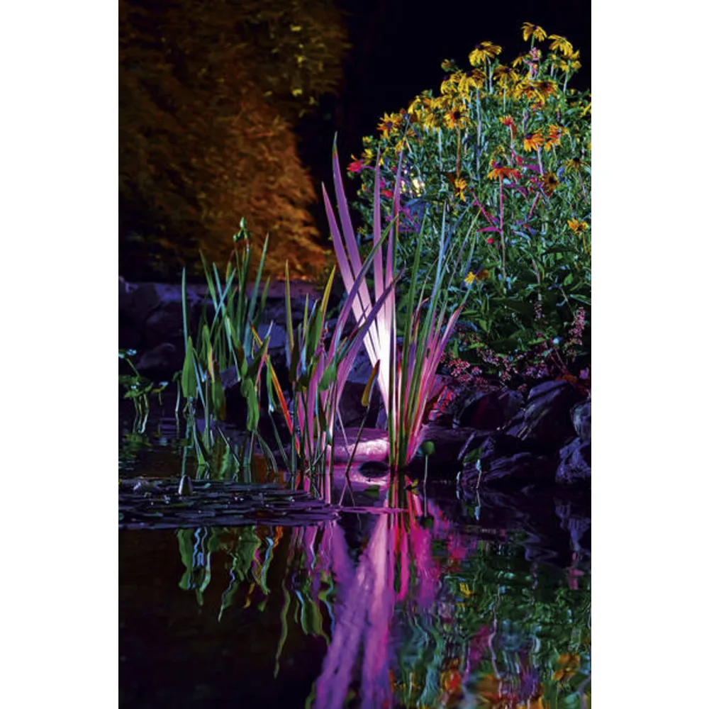 ProfiLux Garden LED RGB lyser opp sivplanter i lilla ved hagedammen om kvelden