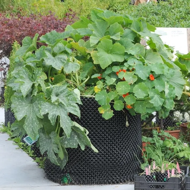 Air-Pot kompostbinge med squash og blomstrende blomkarse som vokser på toppen