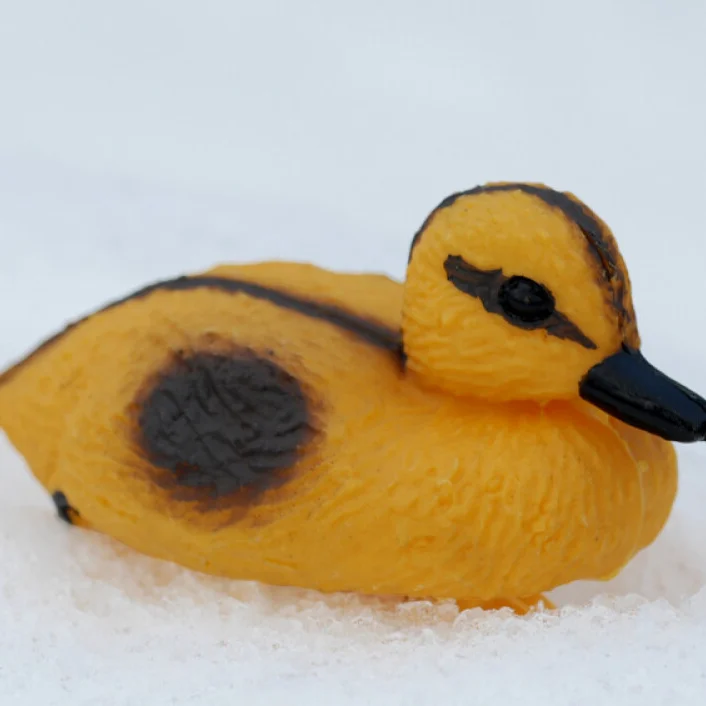 Andunge figur ute i snøen