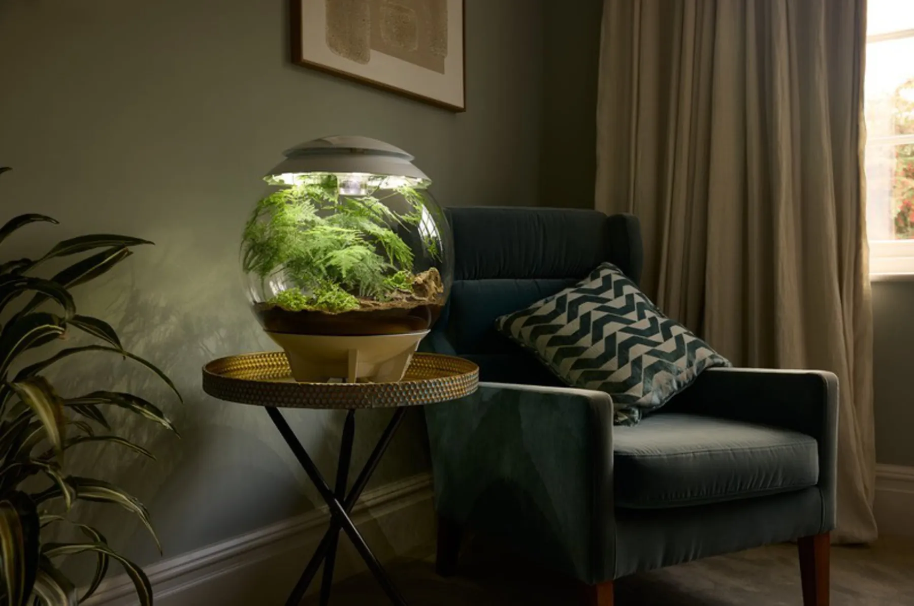 biOrb AIR 30 planteterrarium med grønne planter på et sidebord ved en lenestol