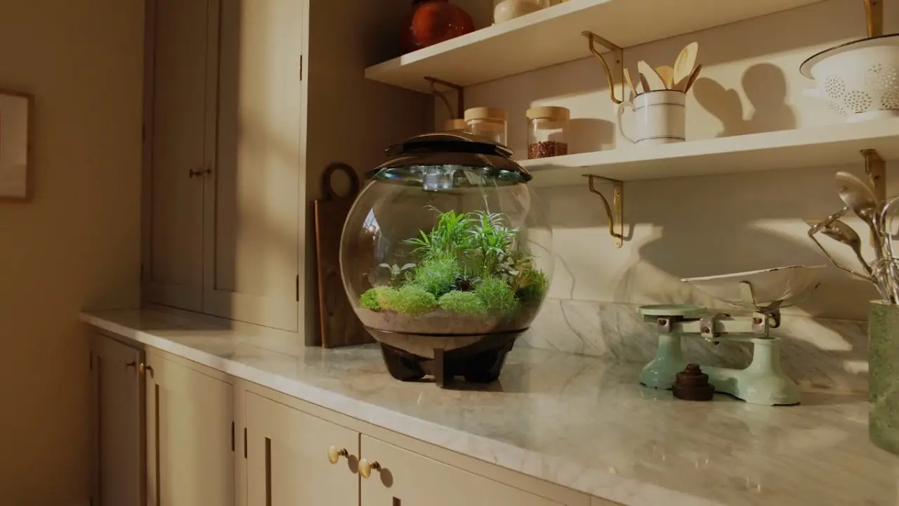 biOrb AIR 30 planteterrarium med grønne planter på en kjøkkenbenk