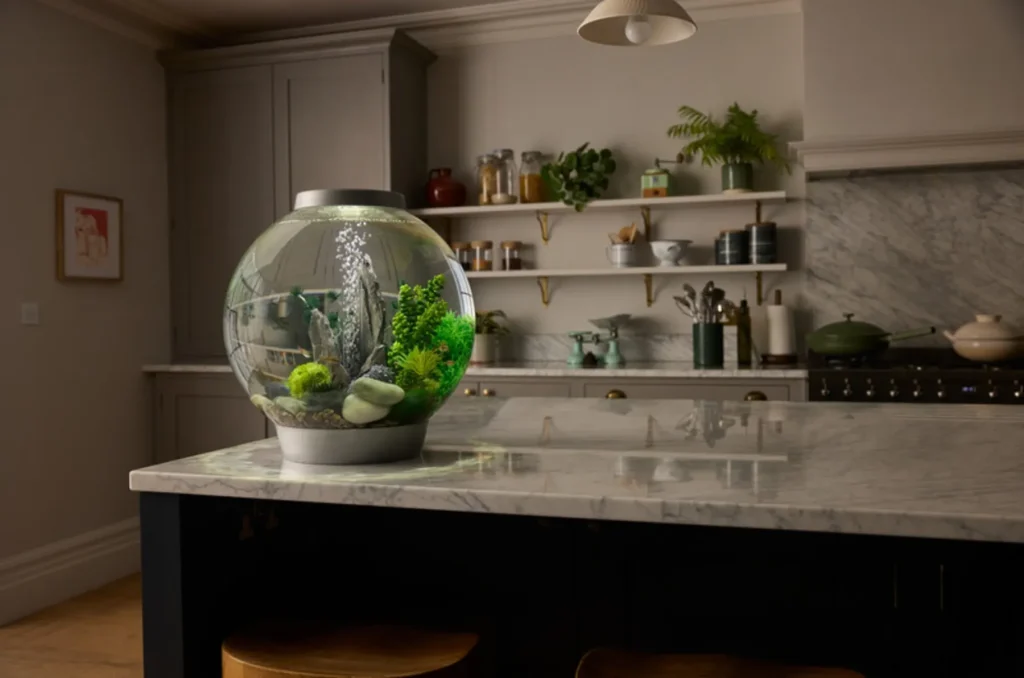 biOrb Classic akvarium med grønne planter og stein på en kjøkkenøy i marmor