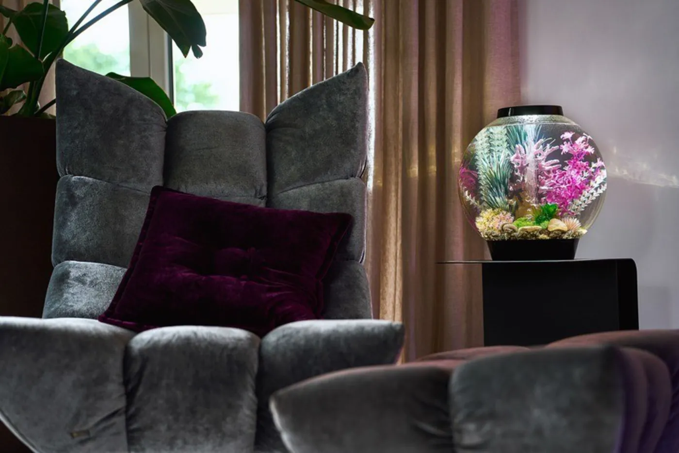 biOrb Classic MCR med rosa og grønne planter på et sort bord ved en grå lenestol