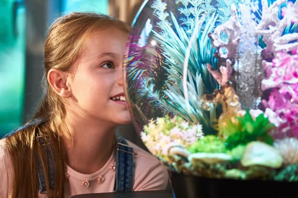 Jente smiler og ser inn i et biOrb Classic MCR akvarium med lyse planter
