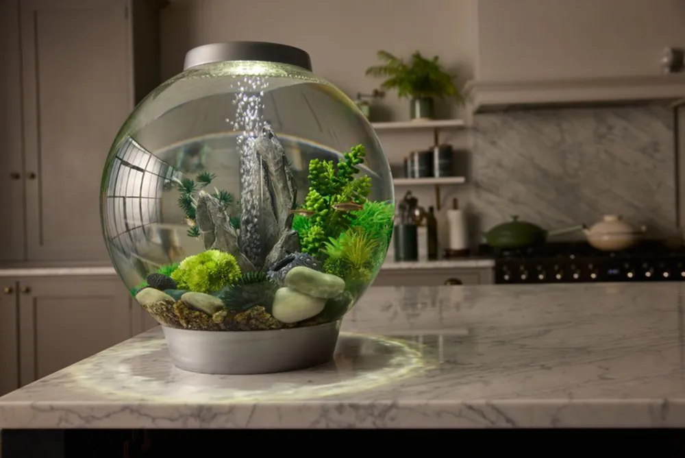biOrb Classic MCR med grønne planter og stein på en kjøkkenbenk i marmor