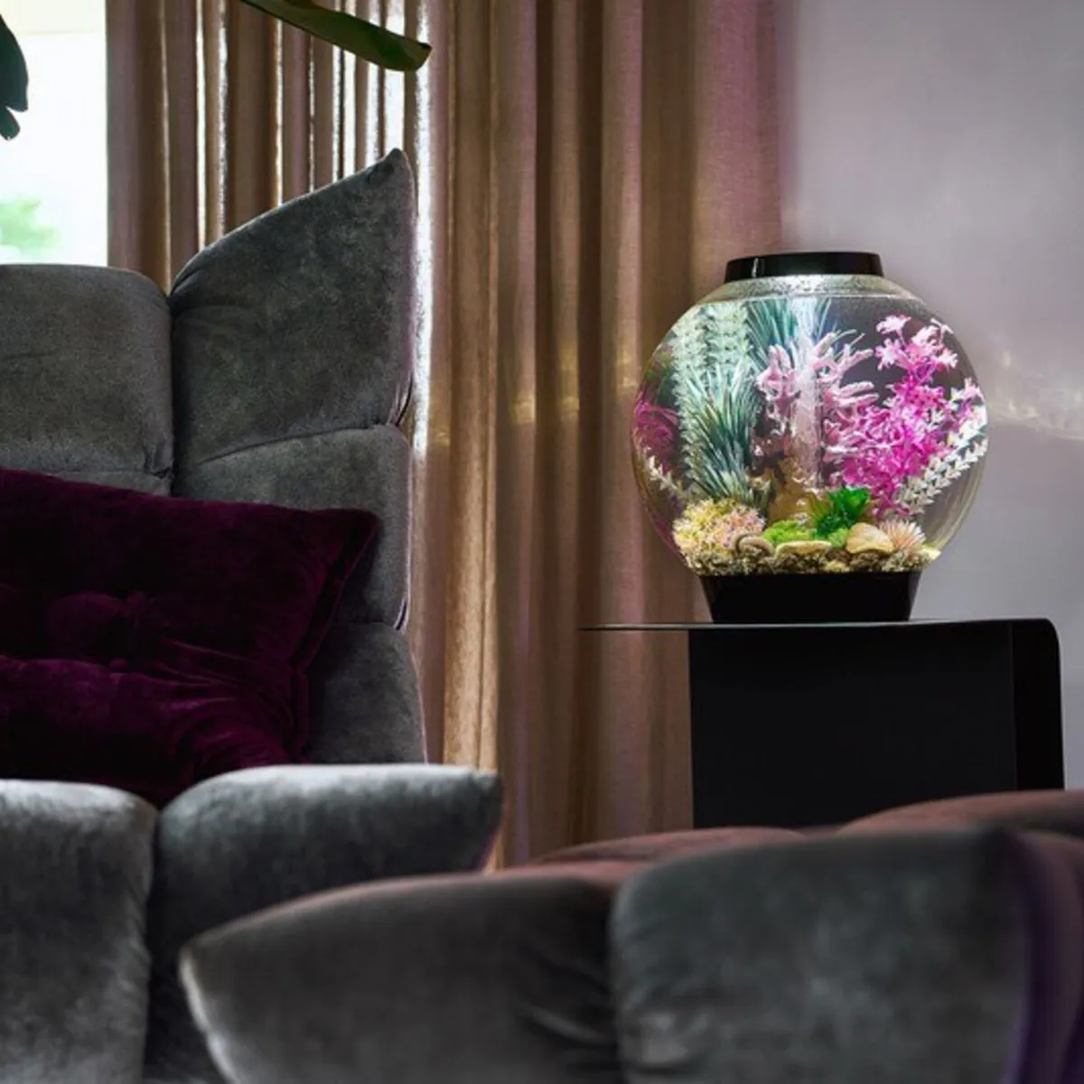 biOrb Classic MCR med opplyst planteverden på et sort bord i en elegant stue