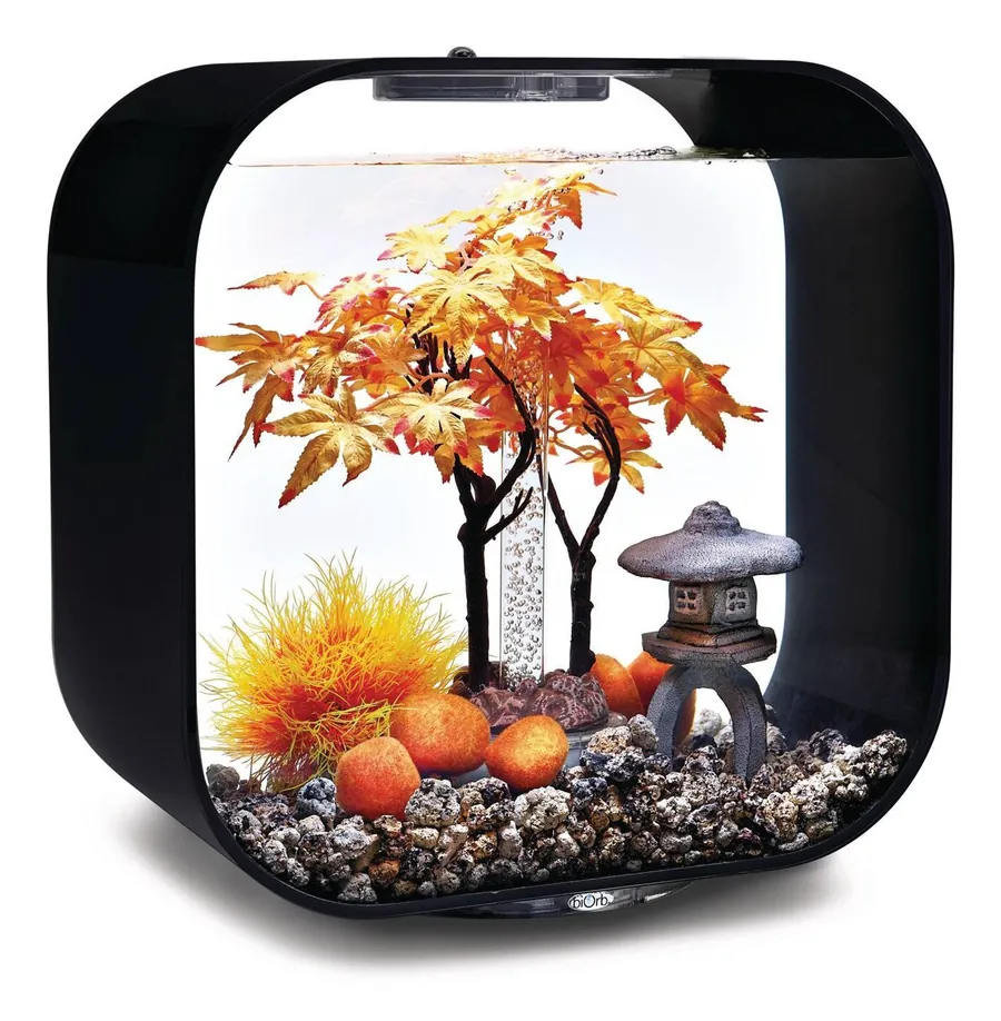 Sort biOrb-akvarium med oransje lønnetrær, steinlykt og oransje mosesteiner fra Autumn