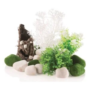 biOrb dekorsett Fairytales med bark og skjell, grønne planter, mosekuler og hvite steiner