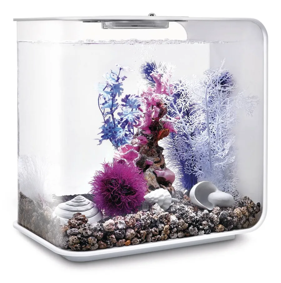 Transparent biOrb-akvarium på 30 liter med rosa korallrev, lilla planter og hvite skjell