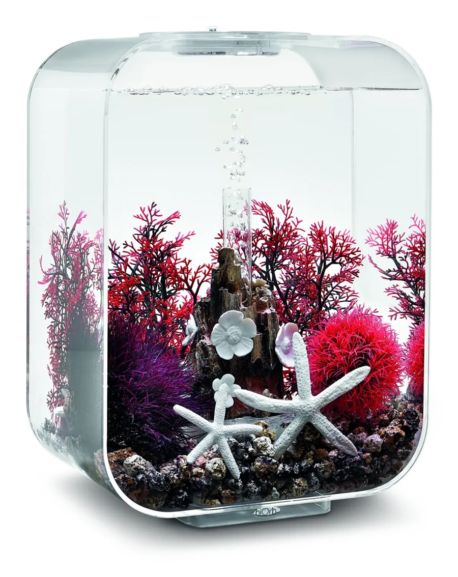 Transparent biOrb LIFE med røde sjøvifter, rotskulptur og hvite sjøstjerner fra Red Forest