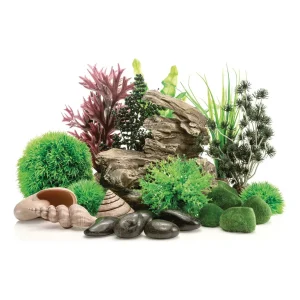 biOrb dekorsett Rock Valley med lagdelt steinskulptur, grønne planter, mosekuler, skjell og sorte steiner