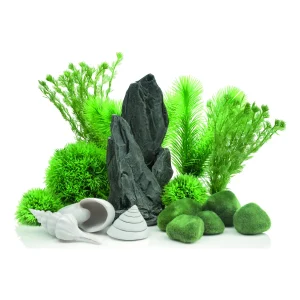 biOrb dekorsett Stone Garden med grå skiferstein, grønne bregner, mosesteiner og hvite skjell