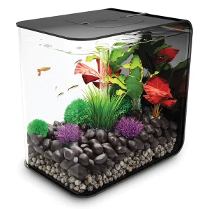 biOrb FLOW MCR sort med grønne planter og stein