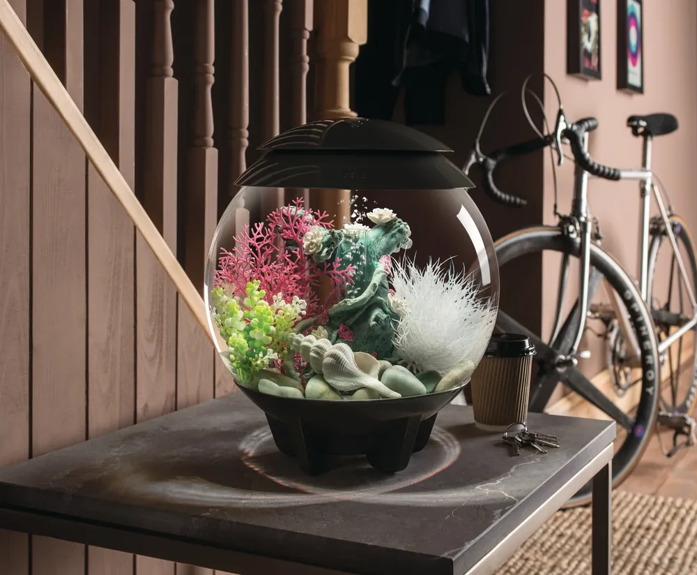 Grå biOrb HALO MCR med rosa og hvite planter på et bord i gangen ved trappen