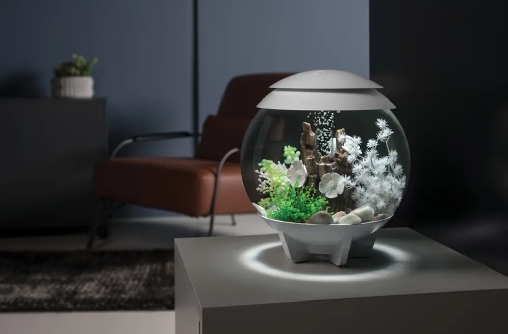 Hvit biOrb HALO MCR med hvite planter og trerot på en sokkel i en mørk stue