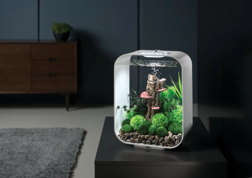 Hvitt biOrb LIFE MCR med grønne planter og trerot på et sort bord i en mørk stue