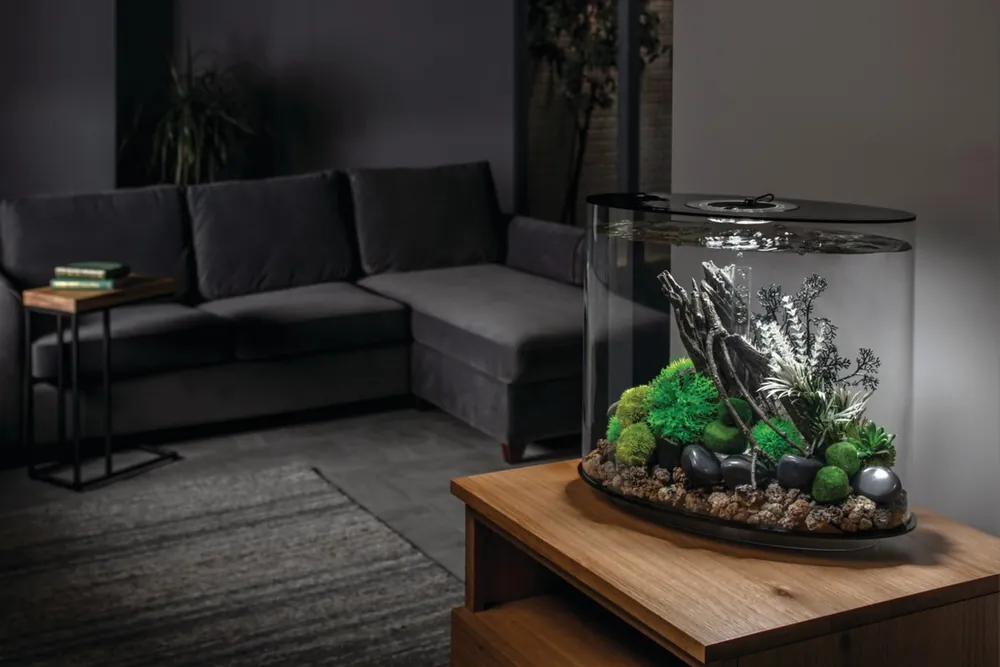 Sort biOrb LOOP 30 MCR med grønn mose og trerot på et trebord ved sofaen