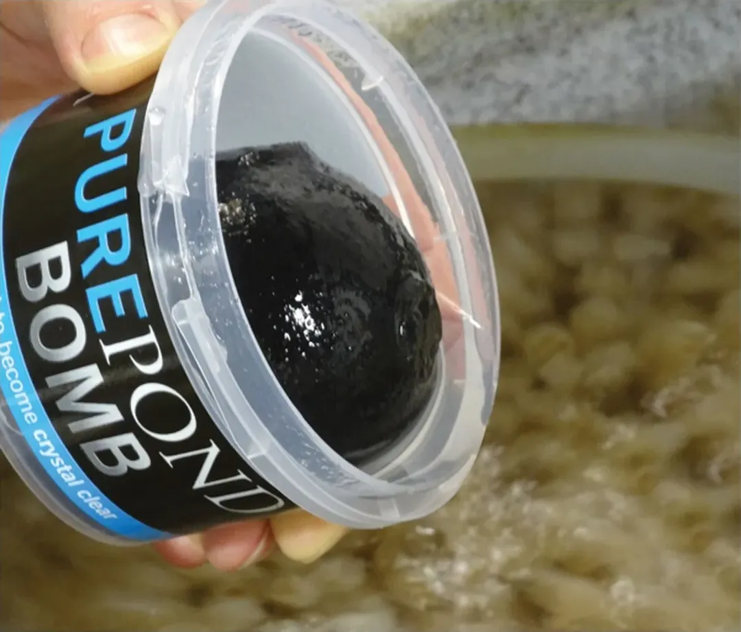 Pure Pond Bomb fra Evolution Aqua holdes over vannet i et damfilter, klar til å slippes ned