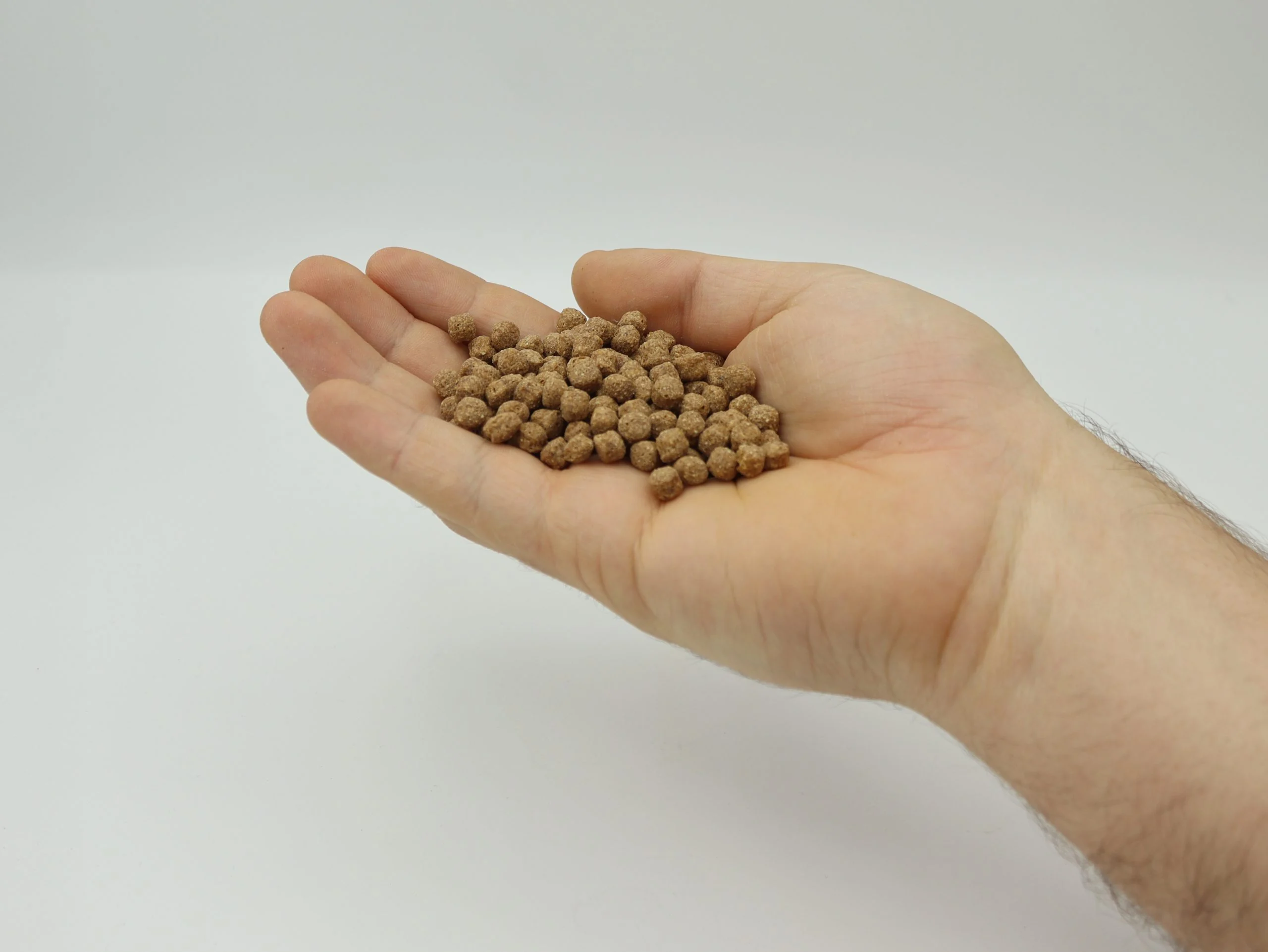 Evolution Aqua Wheatgerm medium pellets 5–6 mm i hånd