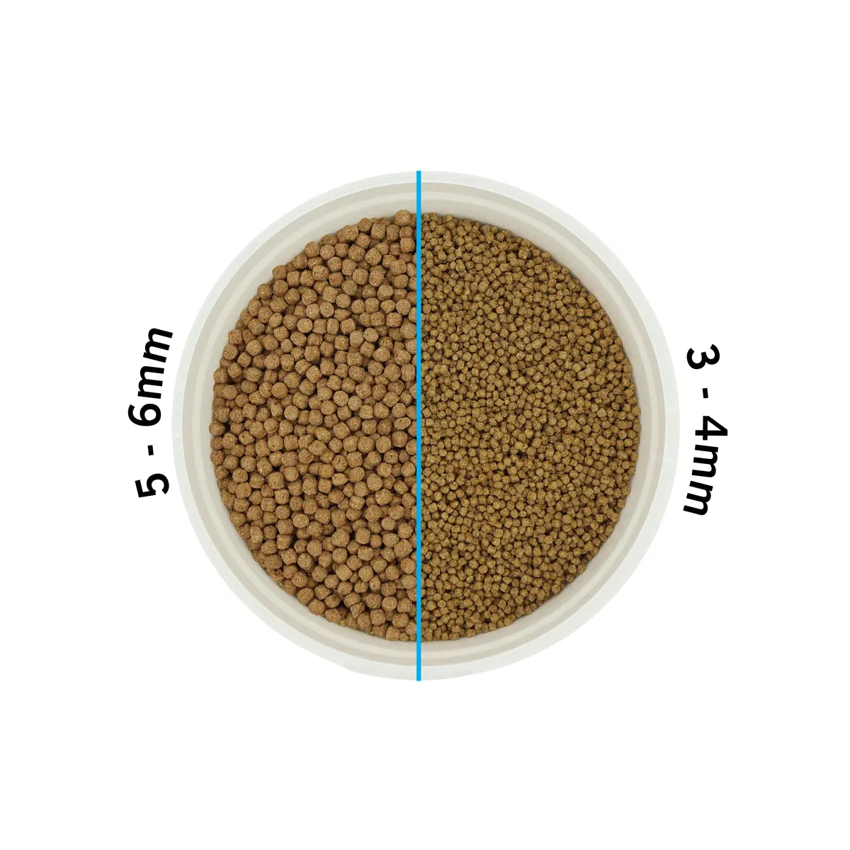 Evolution Aqua Wheatgerm pellets i skål, medium 5–6 mm til venstre og small 3–4 mm til høyre