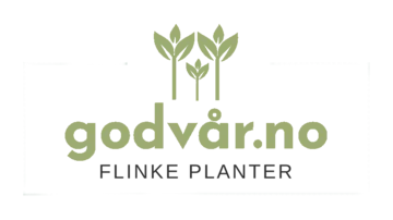 godvår.no Flinke planter logo godvår.no Flinke planter logo