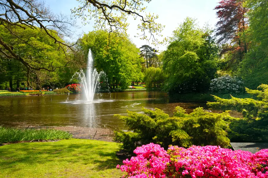 Fontene som spruter midt i en dam omgitt av grønne trær og rosa azalea