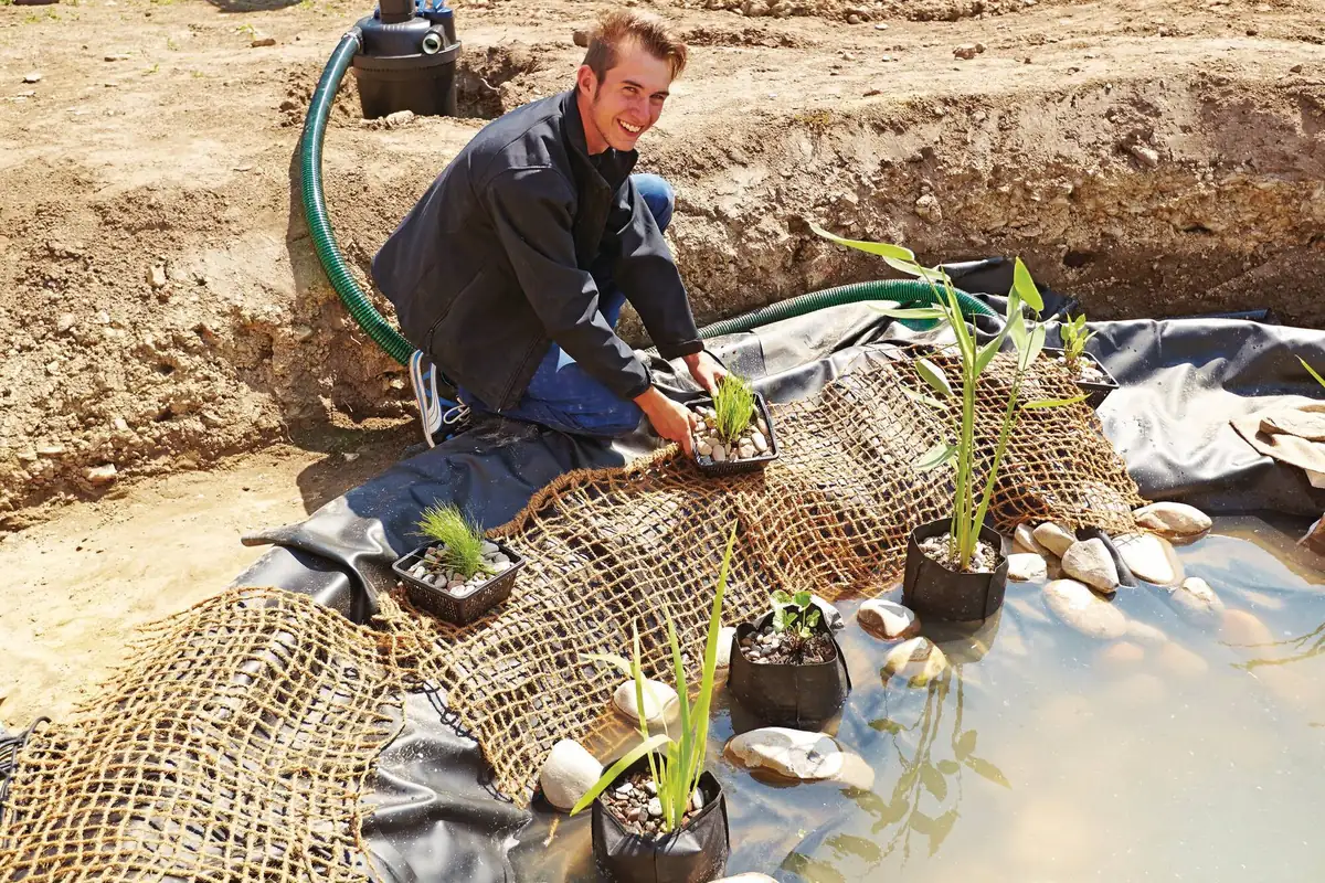 Vannplanter i plantekurver settes ut på plantematte langs kanten av en nyanlagt hagedam