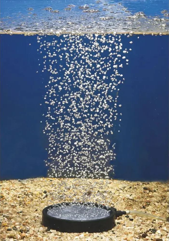 Luftplate 20 cm som gir en søyle av bobler i vann