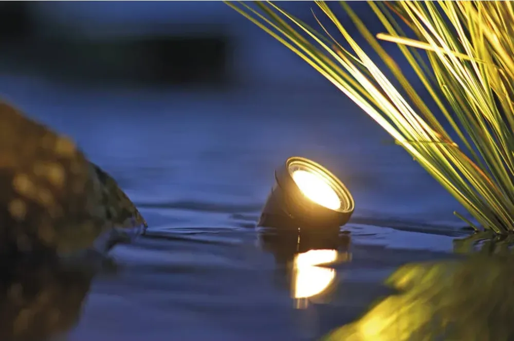 OASE LunAqua 3 LED spotlys i vannkanten lyser opp gress over vannflaten