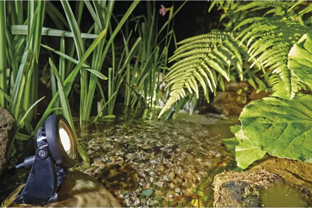 OASE LunAqua Power LED ved bregner og siv i kanten av en bekk