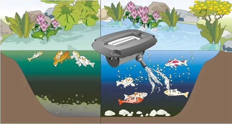 Tegning av OASE AquaAir Eco 250 som skyver oksygenrikt vann ned mot bunnen av en dam med fisk