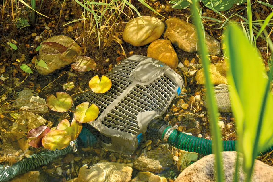 OASE AquaMax Eco Premium filterpumpe på dambunnen mellom steiner og vannliljeblader, med grønn slange til filteret