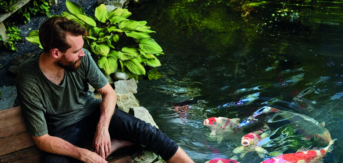 Mann sitter på en trebrygge ved koidammen og ser på koiene i klart vann