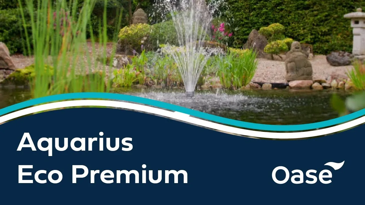 Video der OASE viser Aquarius Eco Premium med CORE 6-teknologi og en fontenestråle i en hagedam