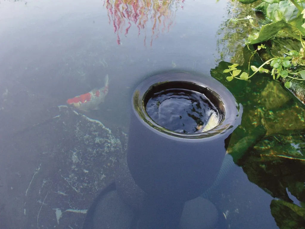 OASE AquaSkim 40 i en hagedam der en koi svømmer forbi