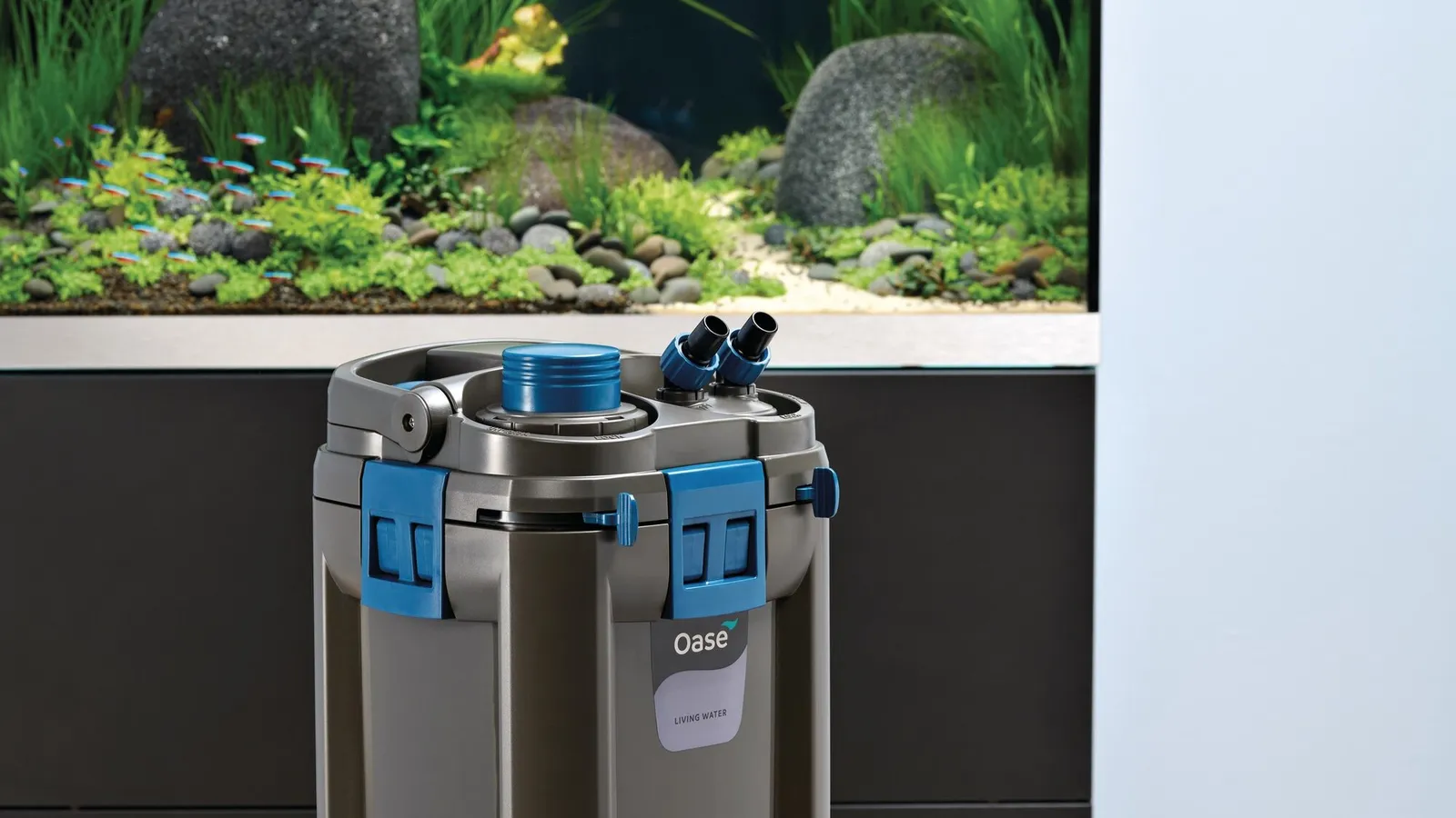 OASE BioMaster Thermo 600 ytterfilter foran et plantet akvarium med neontetra