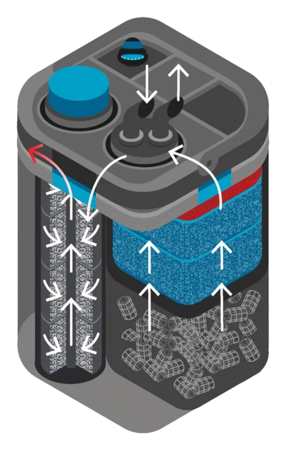 Tegning av OASE BioMaster2 Thermo 250 som viser vannets vei gjennom forfilter, filtersvamper og Hel-X