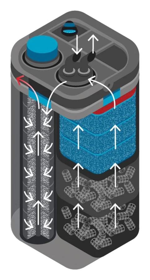 Tegning av OASE BioMaster2 Thermo 600 som viser vannets vei gjennom forfilter, filtersvamper og Hel-X